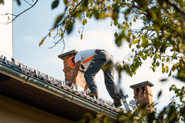 Best Roof Gutter Cleaning  in Corrigan, TX
