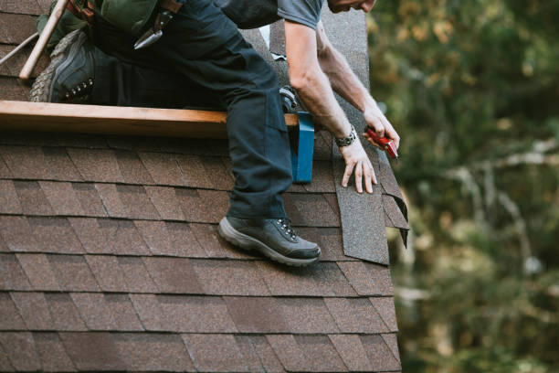 Roof Gutter Cleaning in Corrigan, TX