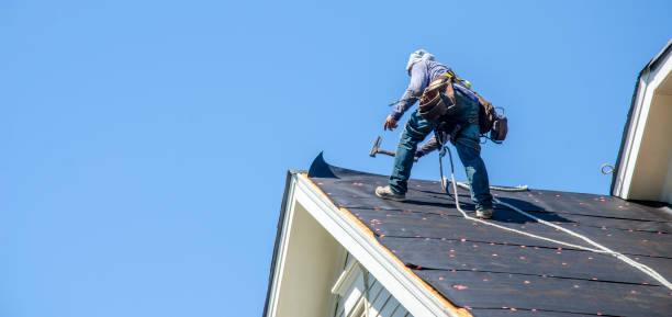 Best Storm Damage Roof Repair  in Corrigan, TX